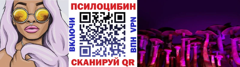 Галлюциногенные грибы ЛСД  Купить закладки  Богородск 