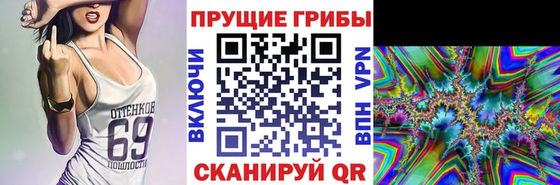 Галлюциногенные грибы MAGIC MUSHROOMS Богородск